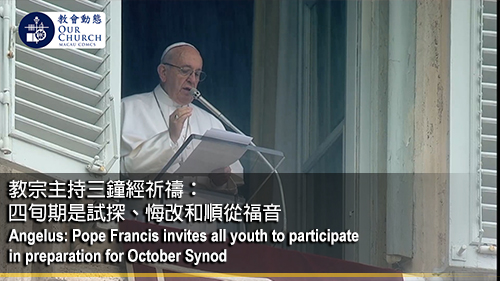 Angelus: Pope Francis invites all youth to participate in preparation for October Synod