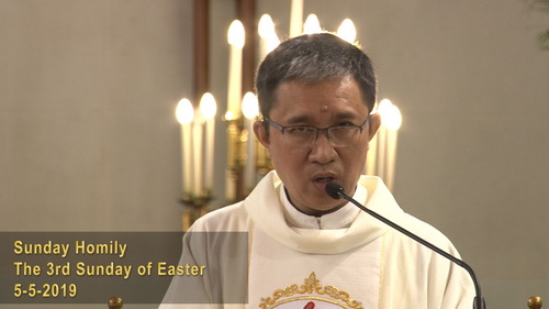 The 3rd Sunday of Easter (5-5-2019, Year C)