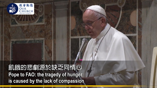 Pope to FAO: the tragedy of hunger is caused by the lack of compassion