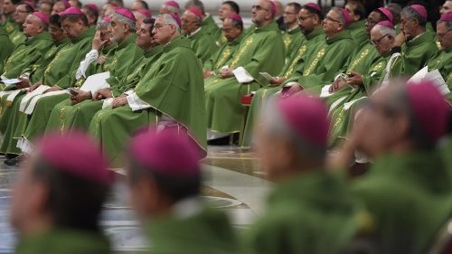Pope Francis transfers responsibilities to bishops