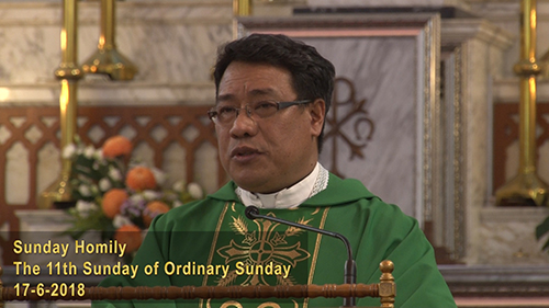 The 11th Sunday of Ordinary Sunday (17-6-2018)