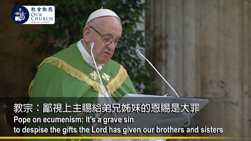 教宗：鄙視上主賜給弟兄姊妹的恩賜是大罪