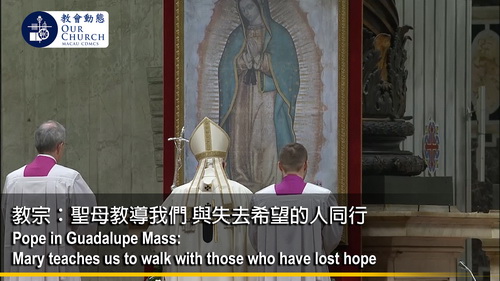 教宗：聖母教導我們 與失去希望的人同行