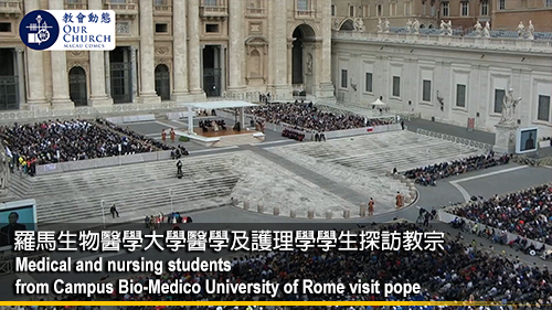 羅馬生物醫學大學 醫學及護理學學生探訪教宗