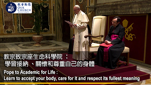 教宗致宗座生命科學院 ： 學習接納 、關懷和尊重自己的身體