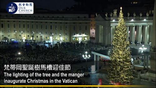 梵蒂岡聖誕樹馬槽迎佳節