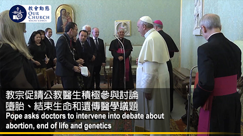 教宗促請公教醫生積極參與討論 墮胎、結束生命和遺傳醫學議題