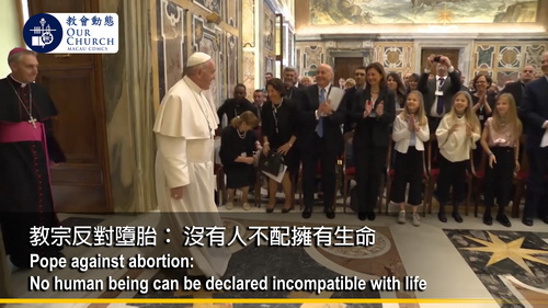 教宗反對墮胎： 沒有人不配擁有生命